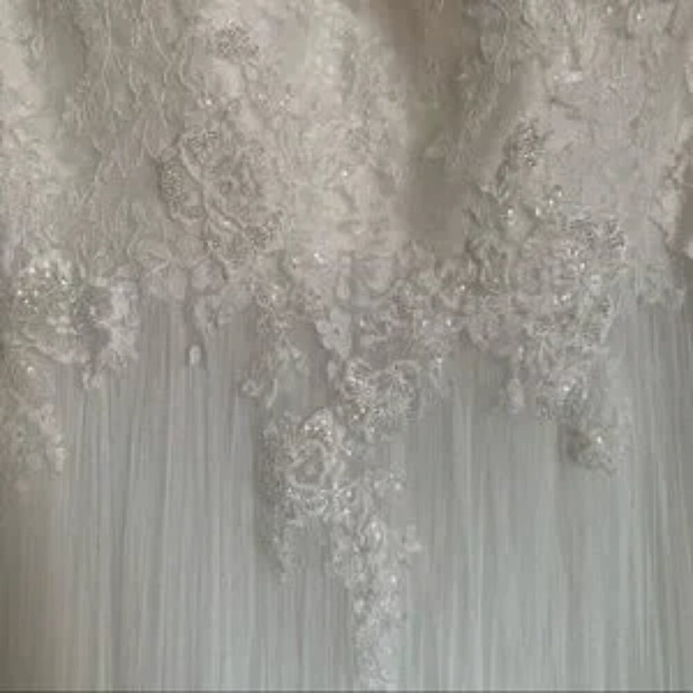 Pronovias Draconia Wedding Dress - Picture 6 of 13